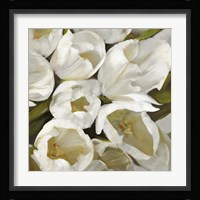 Bianco II Framed Print