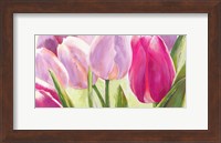 Tulipes I Fine Art Print