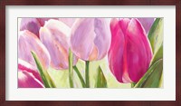Tulipes I Fine Art Print
