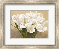 Tulipes Blanches Fine Art Print