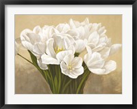 Tulipes Blanches Fine Art Print