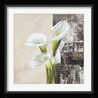 Nature II Fine Art Print