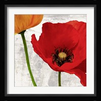 Summer Poppies I Fine Art Print