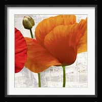 Summer Poppies II Fine Art Print