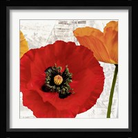 Summer Poppies III Fine Art Print