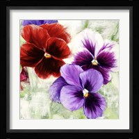 Pansies I Fine Art Print