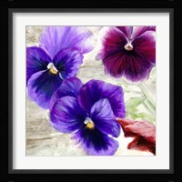 Pansies II Fine Art Print