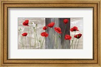 Country Poppies Fine Art Print
