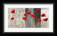 Country Poppies Fine Art Print