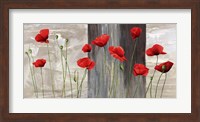 Country Poppies Fine Art Print