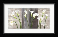 Country Callas Fine Art Print