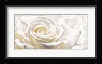 White on White Fine Art Print