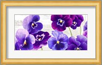 Dance of Pansies Fine Art Print