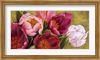 My Tulips Fine Art Print