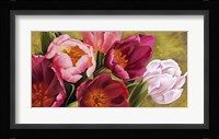 My Tulips Fine Art Print