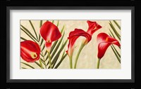 Red Callas Fine Art Print