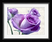 Porcelain Fine Art Print