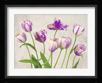 Tulipes Fine Art Print