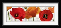 Summer Poppies Fine Art Print