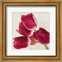 Tulip Concerto (Detail) Fine Art Print