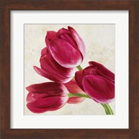 Tulip Concerto (Detail) Fine Art Print