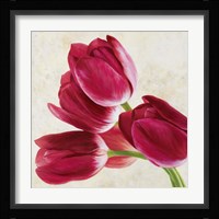 Tulip Concerto (Detail) Fine Art Print
