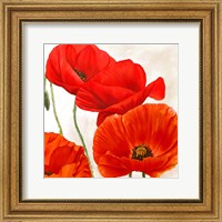 Poppies II Fine Art Print