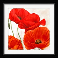 Poppies II Fine Art Print