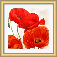 Poppies II Fine Art Print