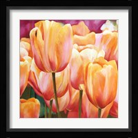 Spring Tulips I Fine Art Print