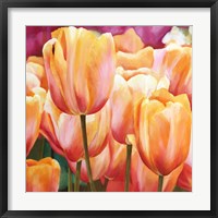 Spring Tulips I Framed Print