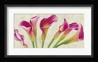 Calla Parade Fine Art Print