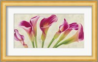 Calla Parade Fine Art Print