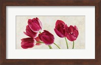 Tulip Concerto Fine Art Print