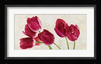 Tulip Concerto Fine Art Print