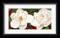 Magnolie in Fiore Fine Art Print