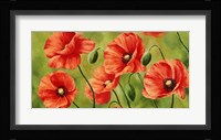 Field of Poppies Fine Art Print