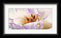Tulipe Fine Art Print