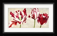 Tulipes Royales Fine Art Print