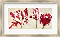 Tulipes Royales Fine Art Print