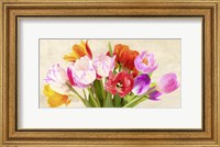 Tulips in Spring Fine Art Print