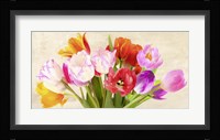 Tulips in Spring Fine Art Print