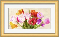 Tulips in Spring Fine Art Print