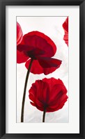 Reds II Framed Print