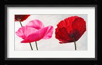 Trio Fine Art Print
