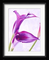 Duet I Fine Art Print