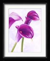 Duet II Fine Art Print