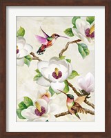 Magnolia and Humming Birds Fine Art Print