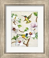 Magnolia and Birds Fine Art Print