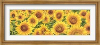 Field of Sunflowers Fine Art Print